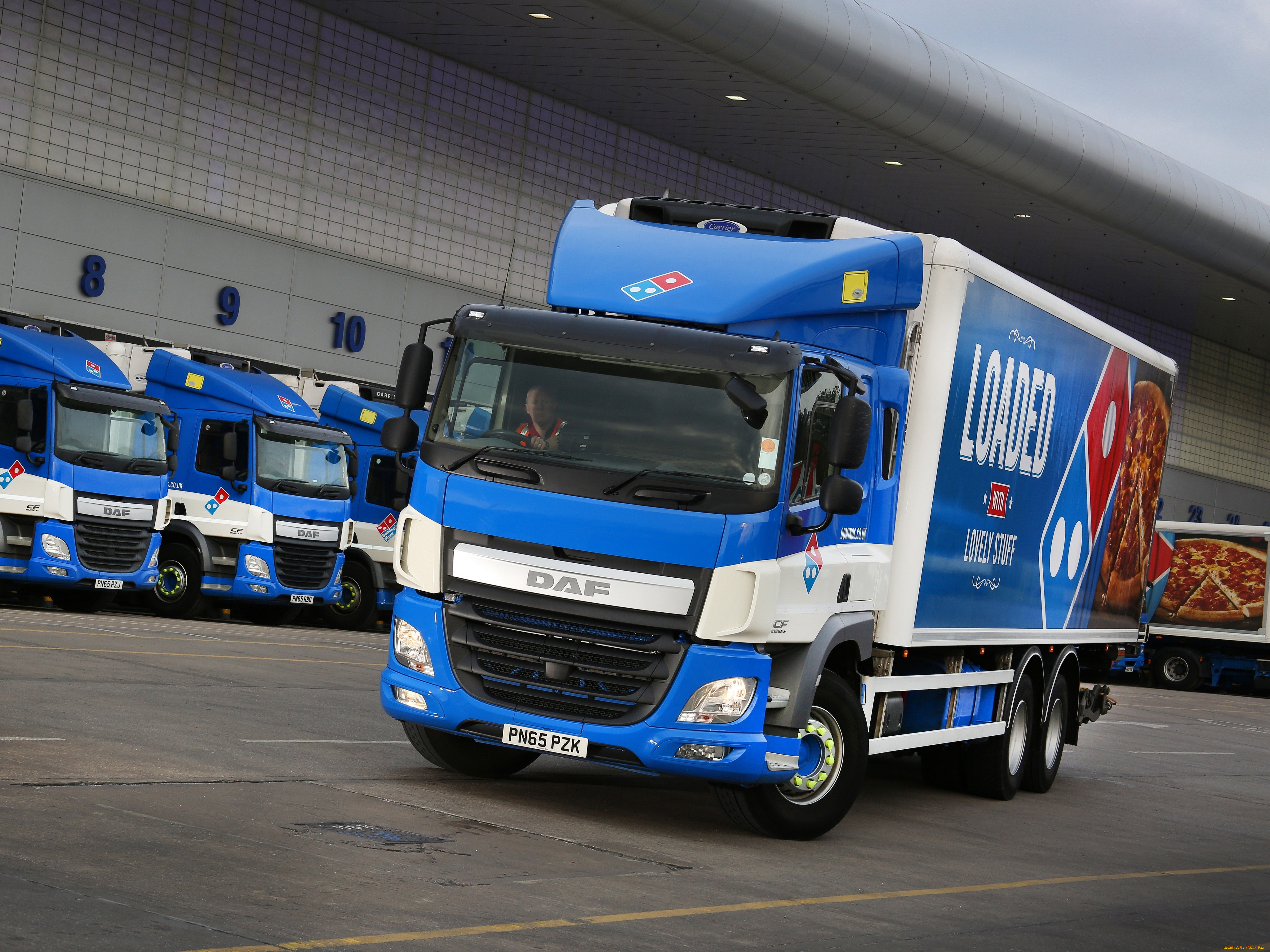 , daf, cf